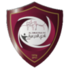 迪雷禾logo